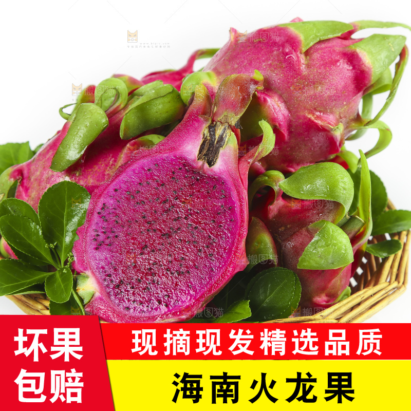 切开的红心火龙果放在白底上