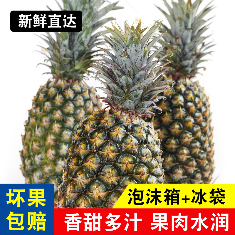 白底上的新鲜凤梨