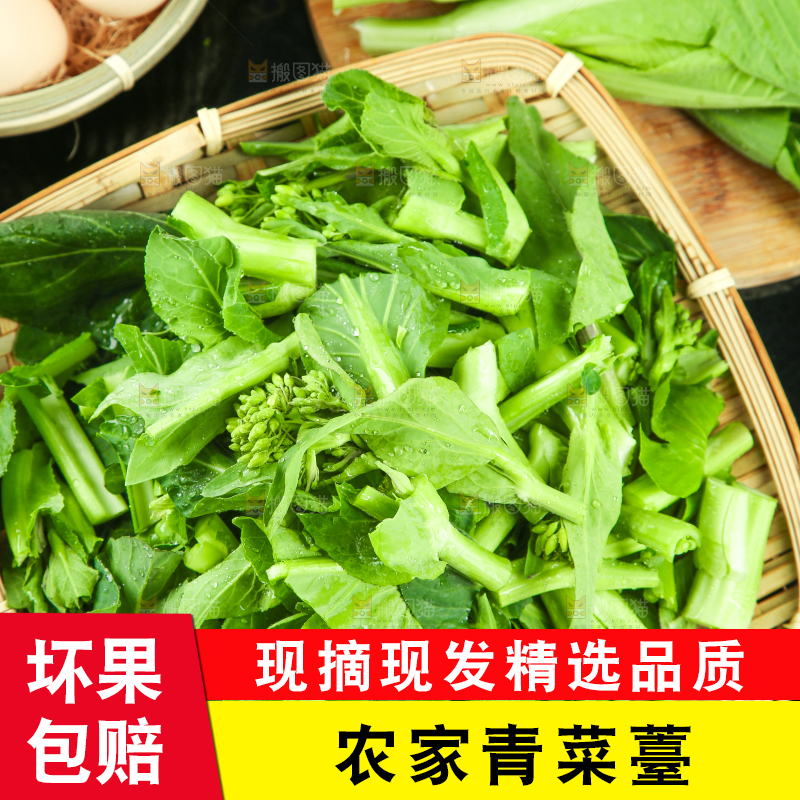 黑底上放着菜薹