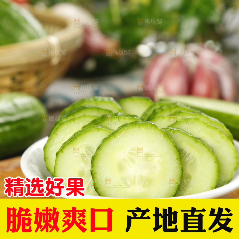 新鲜的山东水果黄瓜放在木板上