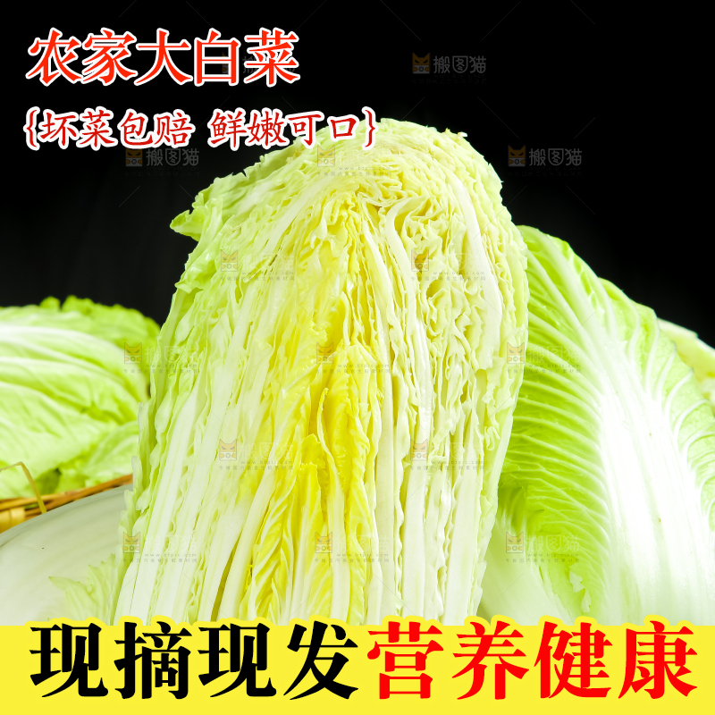 木底上放着大白菜