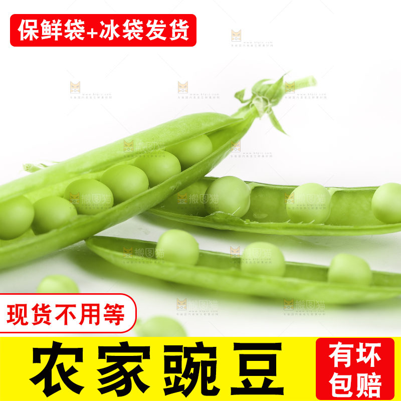 白底上的豌豆荚