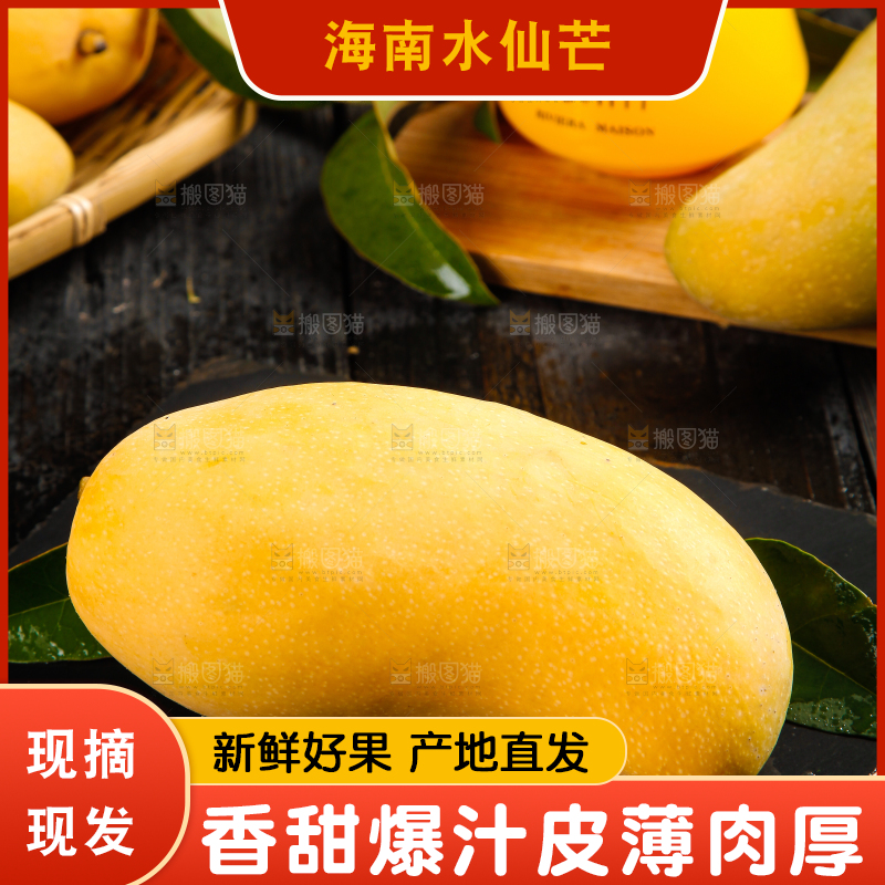 黑石板上的水仙芒