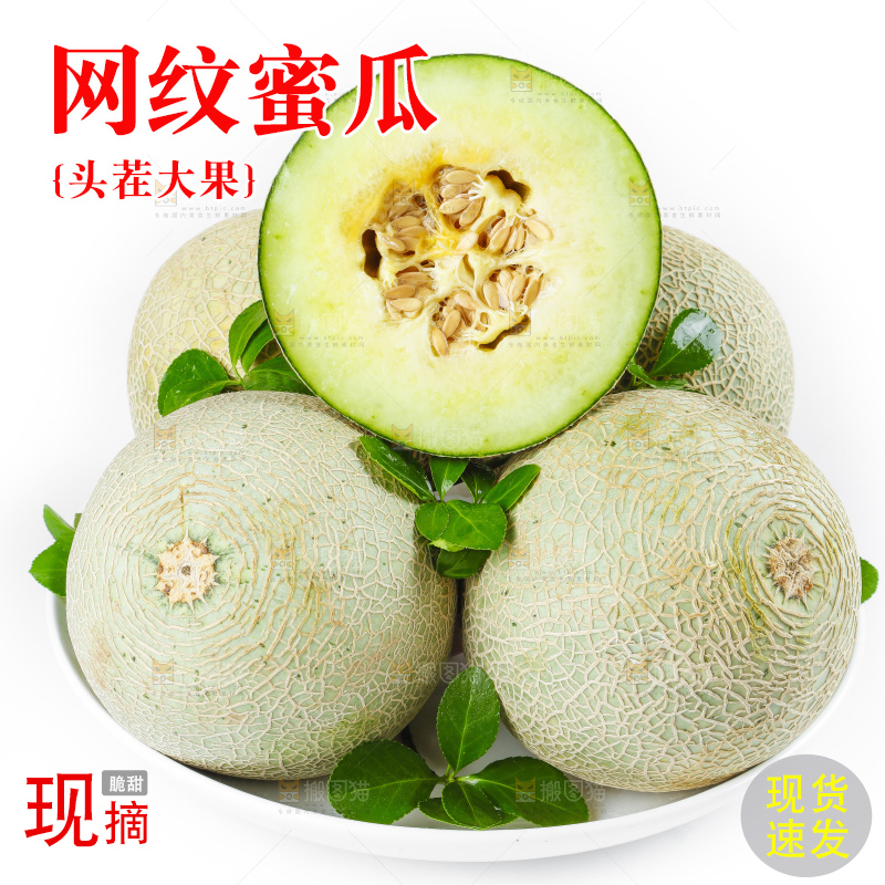白底上放着新鲜网纹瓜