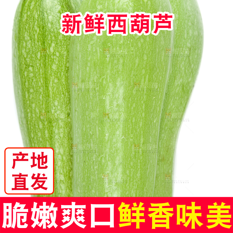 白底上摆放着茭瓜