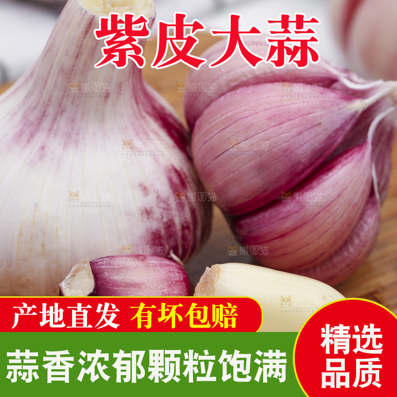 浅底上放着新鲜山东紫皮大蒜头