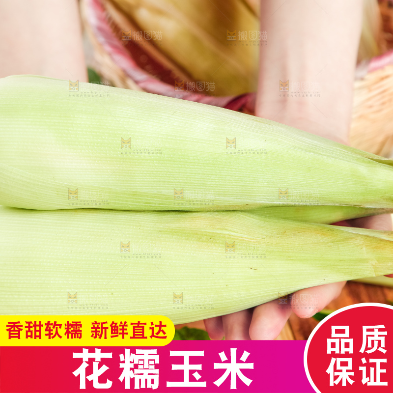 手里拿着花糯玉米