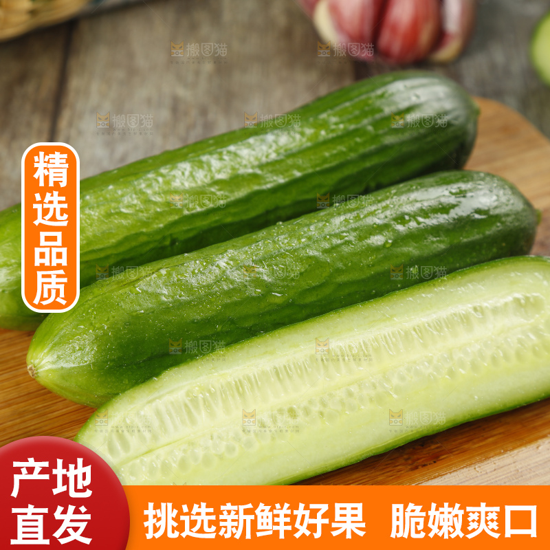 新鲜的山东水果黄瓜放在木板上
