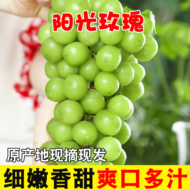 手里拿着阳光玫瑰葡萄