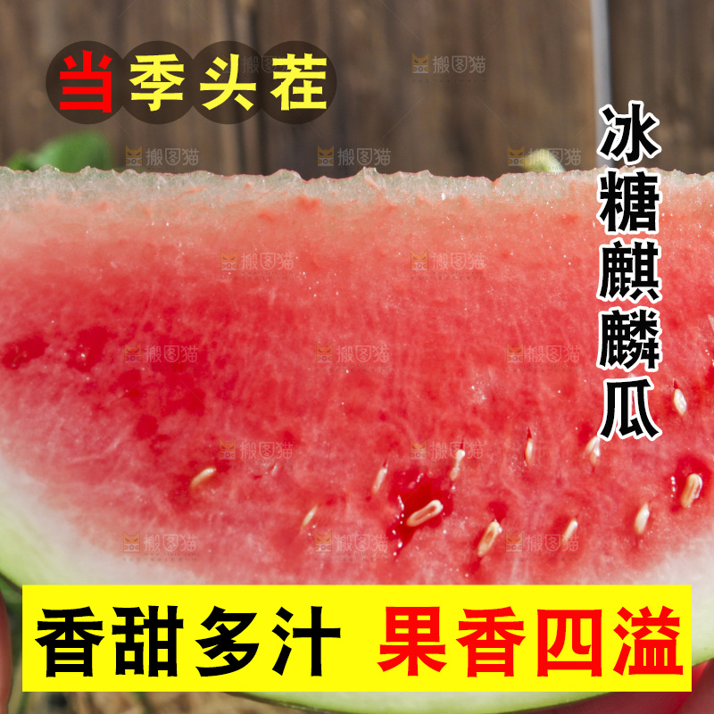 手拿切开的冰糖西瓜