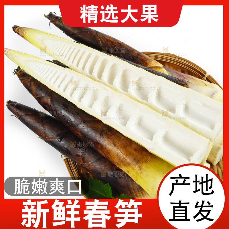 白底上放着一筐天幕山春笋