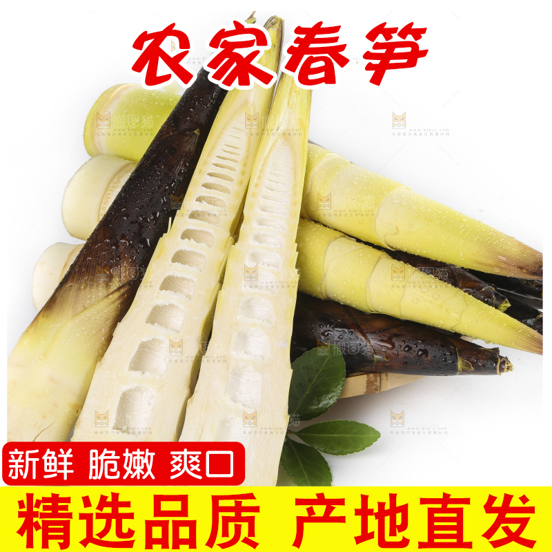 切开的新鲜竹笋放在白底上