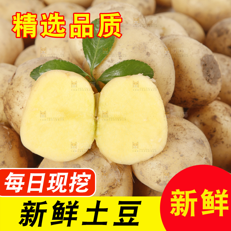 一堆小土豆