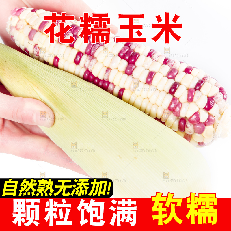 手里拿着剥皮的花玉米