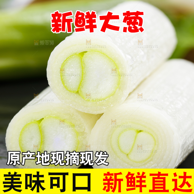深底上放着毛葱