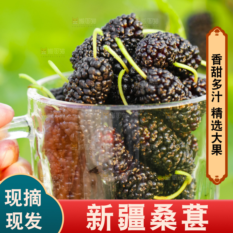 杯子里装着桑葚