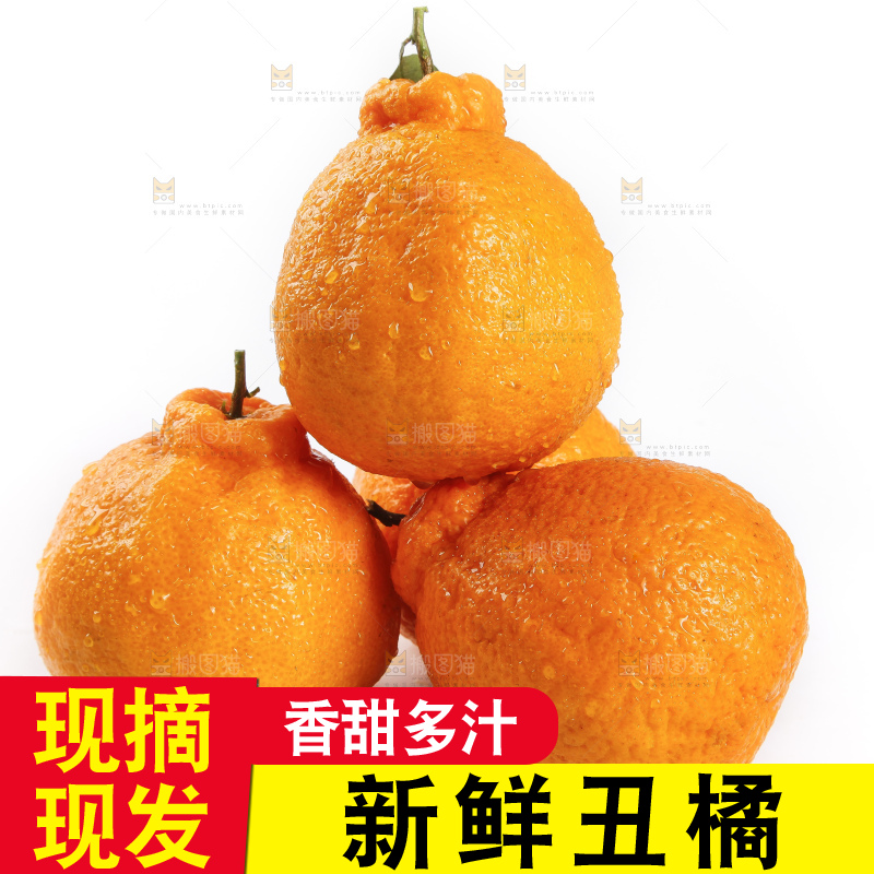 白底上的新鲜丑柑