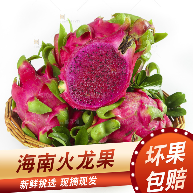 切开的红心火龙果放在白底上
