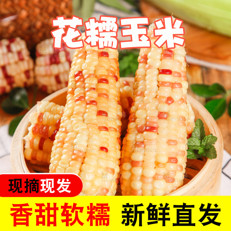竹笼里放着糯玉米