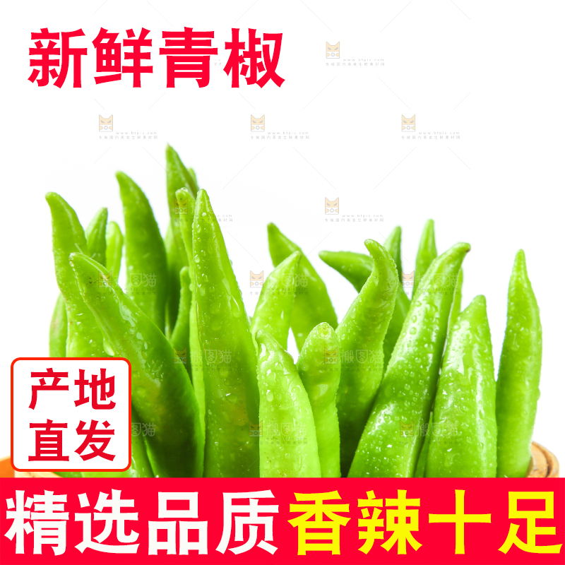 格子底上放着青杭椒
