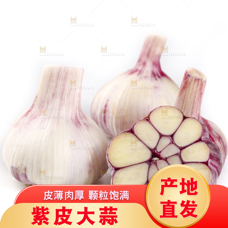 白底上放着新鲜紫皮大蒜头