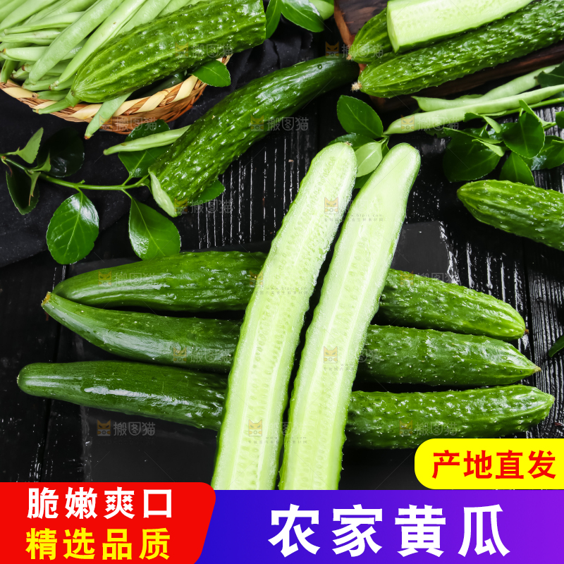 黑底上放着切开的新鲜青瓜