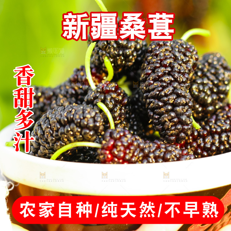 碗里装着桑葚