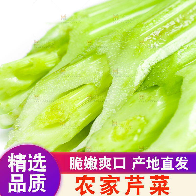 白底上放着新鲜芹菜