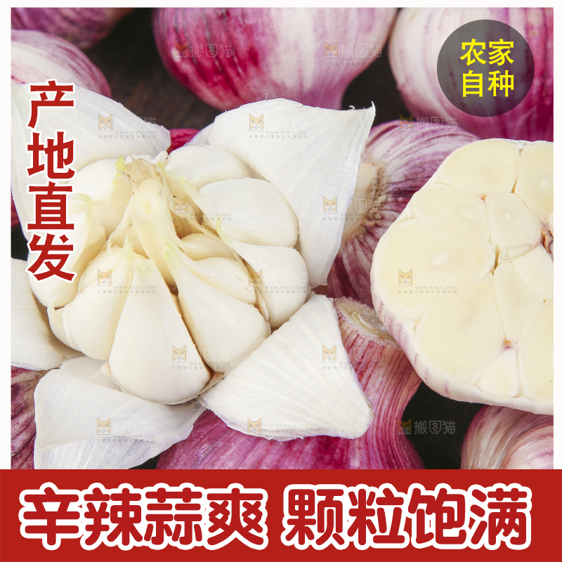 白底上放着云南紫皮蒜