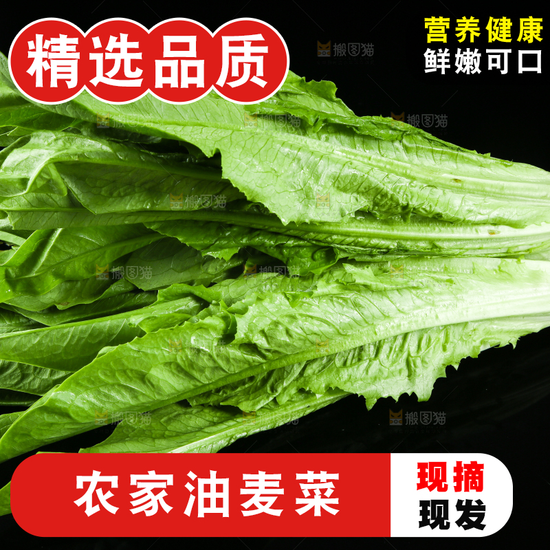 黑底上摆放着油麦菜