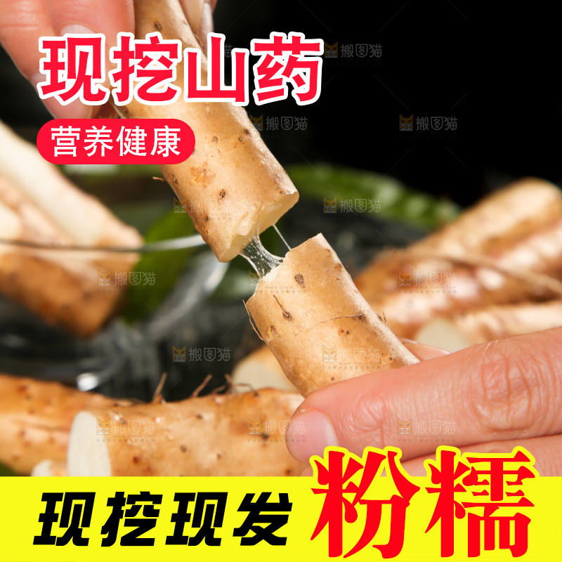 手里拿着白山药