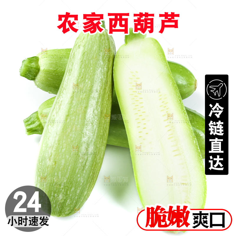 白底上摆放着茭瓜