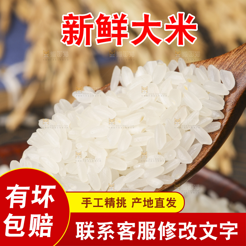 勺子里装着稻花香米