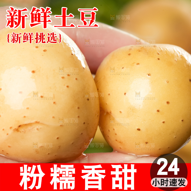 手里拿着小土豆