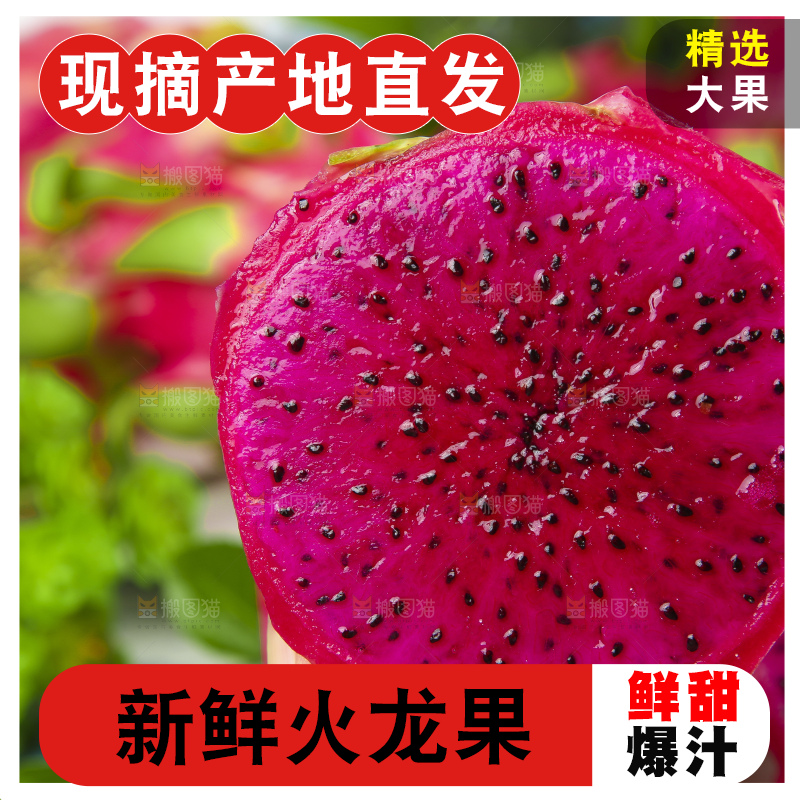 手拿切开的红火龙果