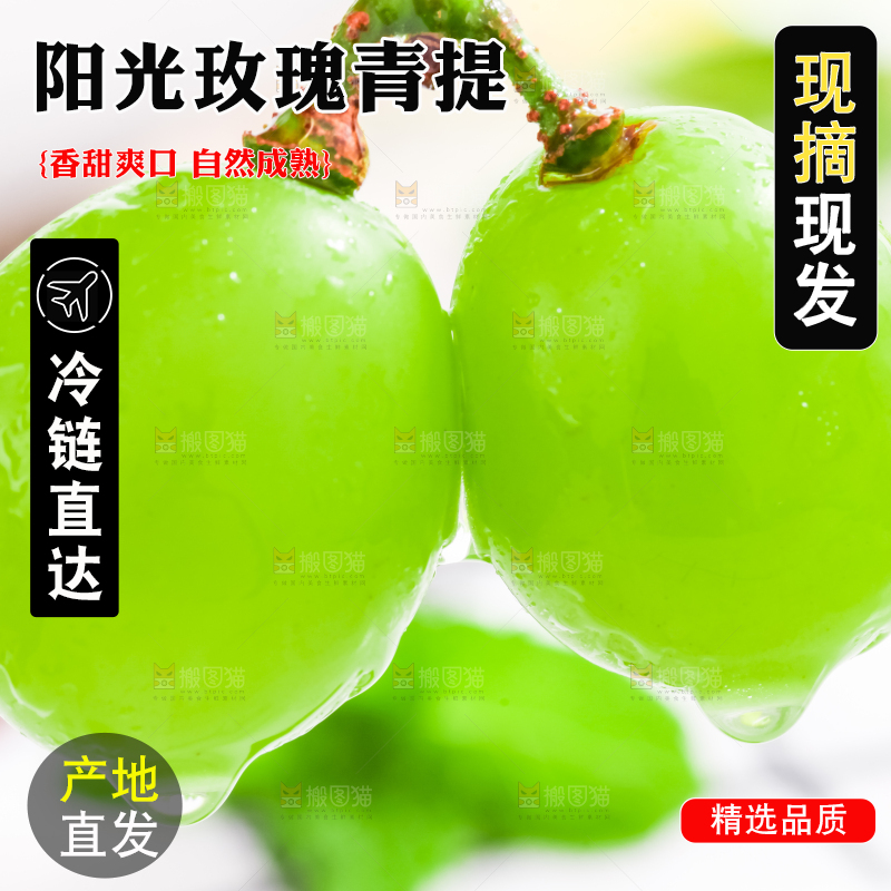 手里拿着阳光玫瑰