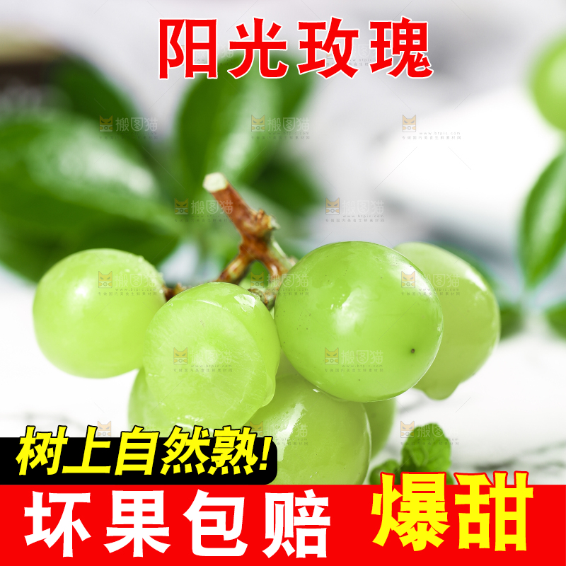 石板上放着无籽青提