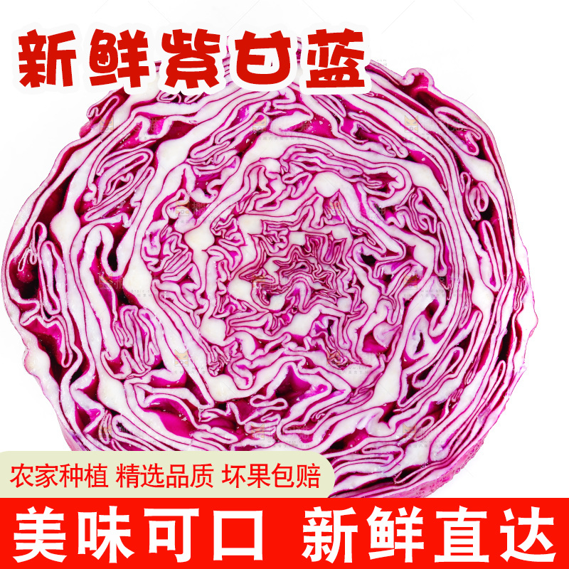 白底上放着甘蓝