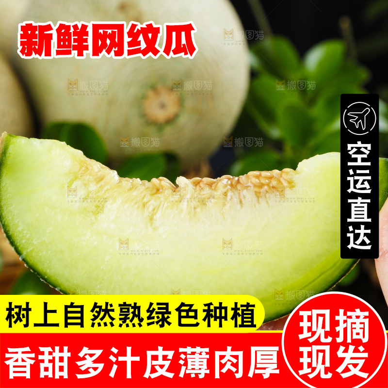 手拿切开的海南玫珑蜜瓜