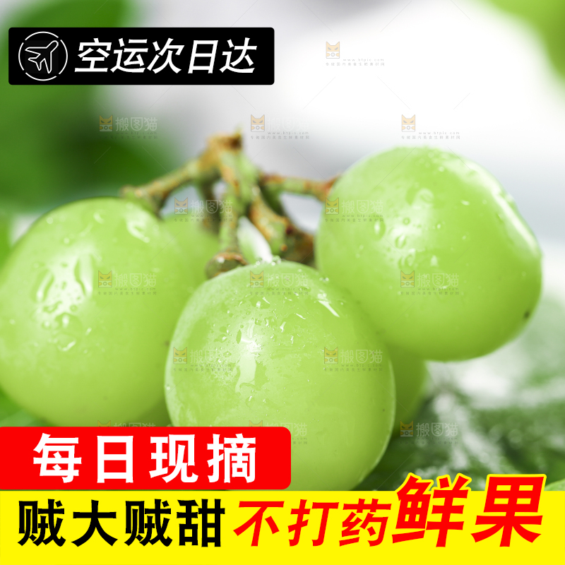 叶子上放着无籽青提