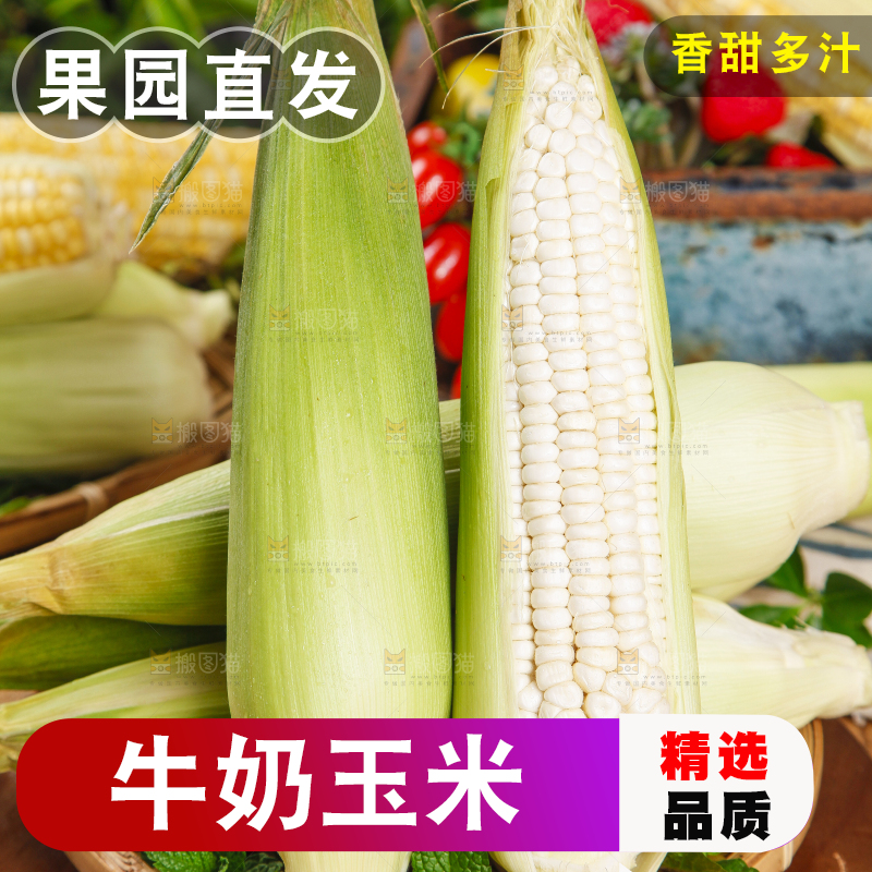 竹篮里放着牛奶玉米