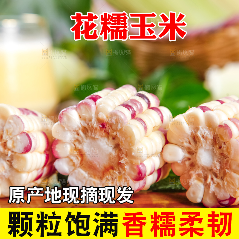 木板上放着切块的香甜糯玉米