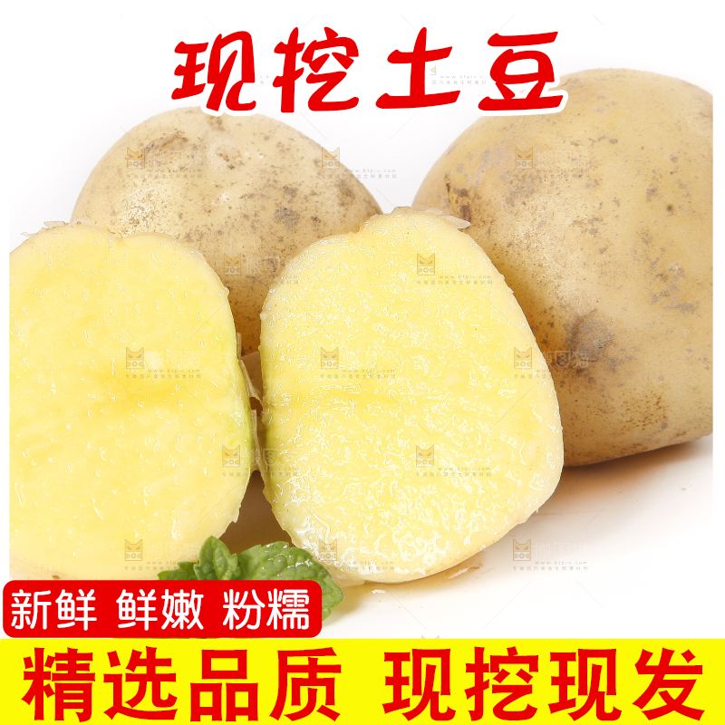 白底上放着土豆