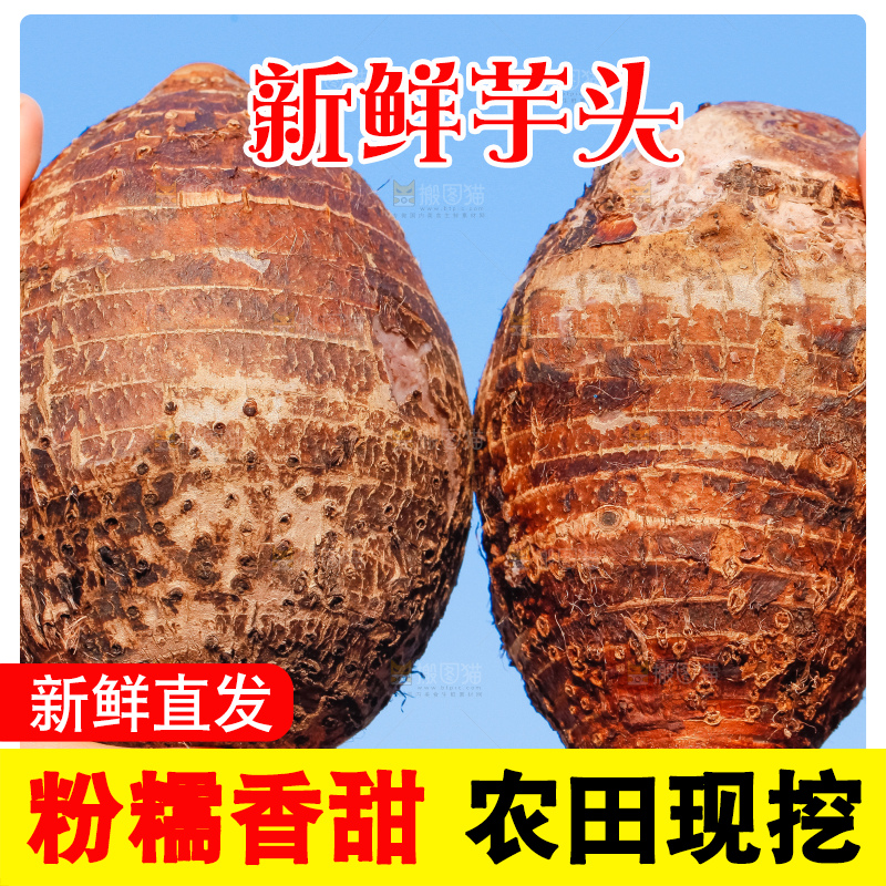 手里拿着紫藤芋头