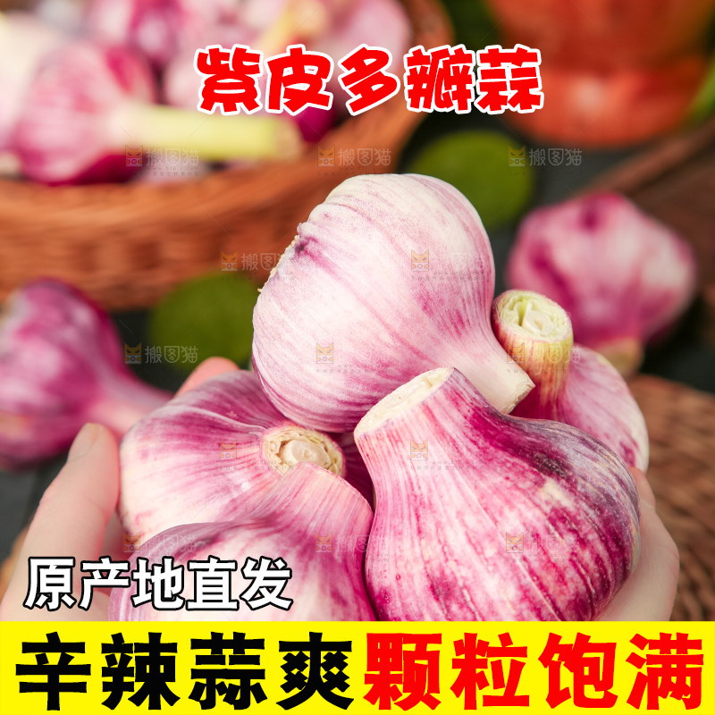手里拿着紫皮蒜