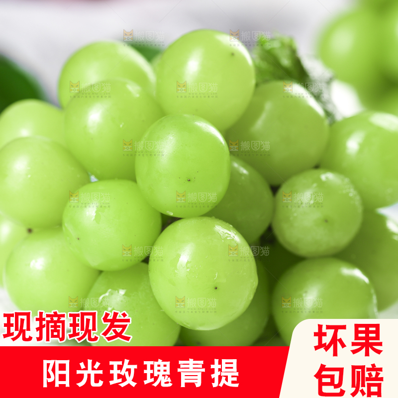盘子里装着无籽青提