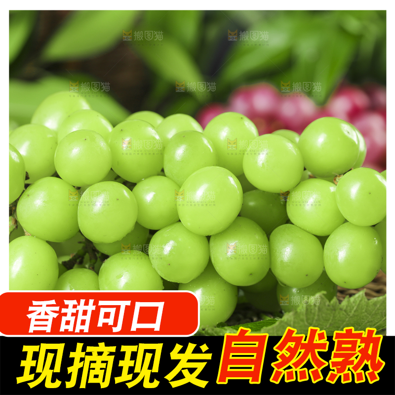 竹垫上放着无籽青提