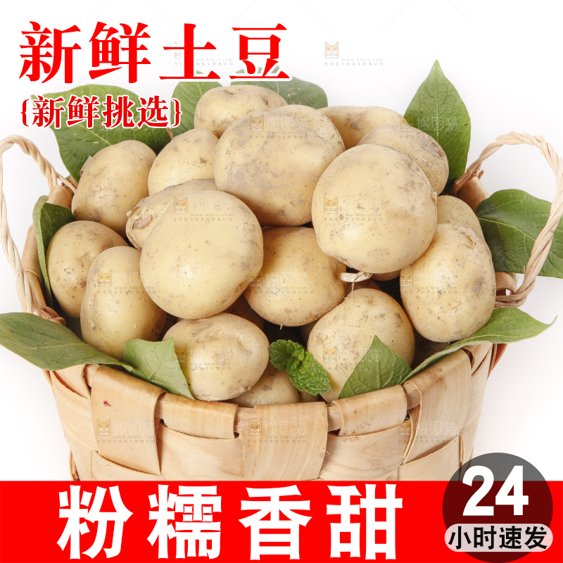 竹篮放着小土豆