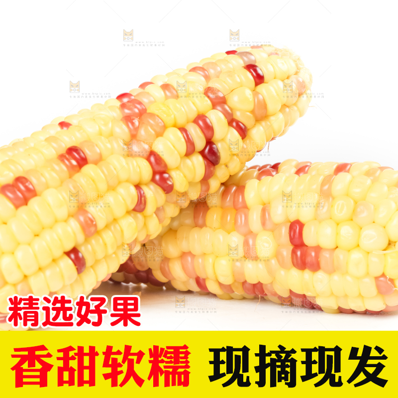 白底上放着花糯玉米
