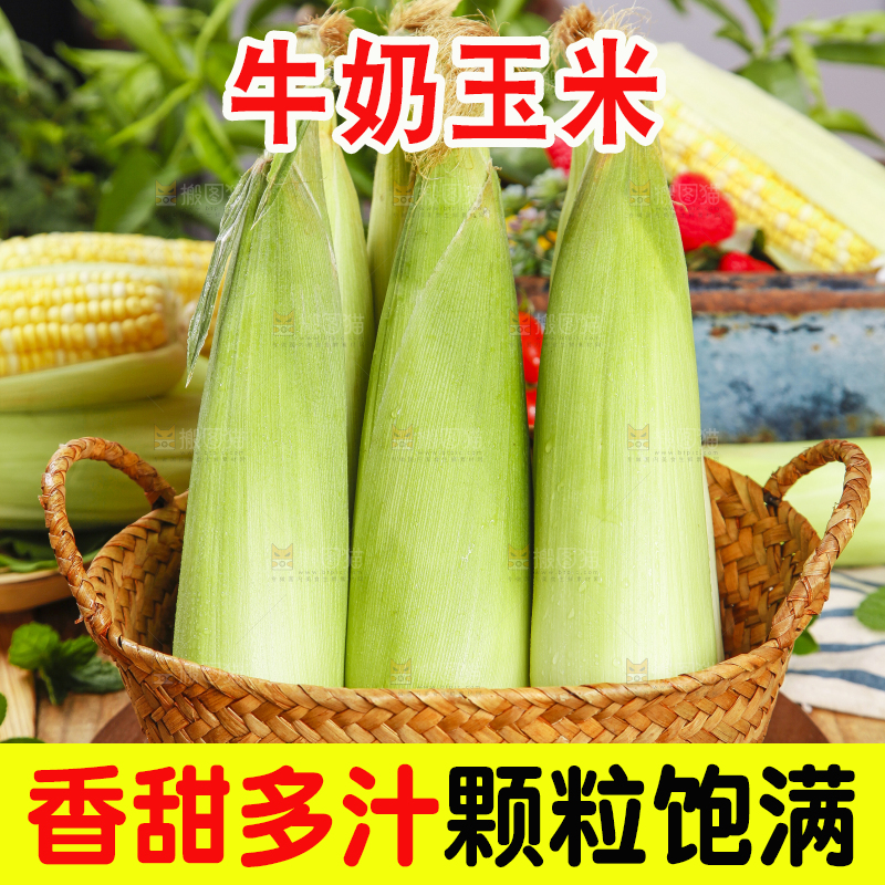 竹篮里放着牛奶玉米